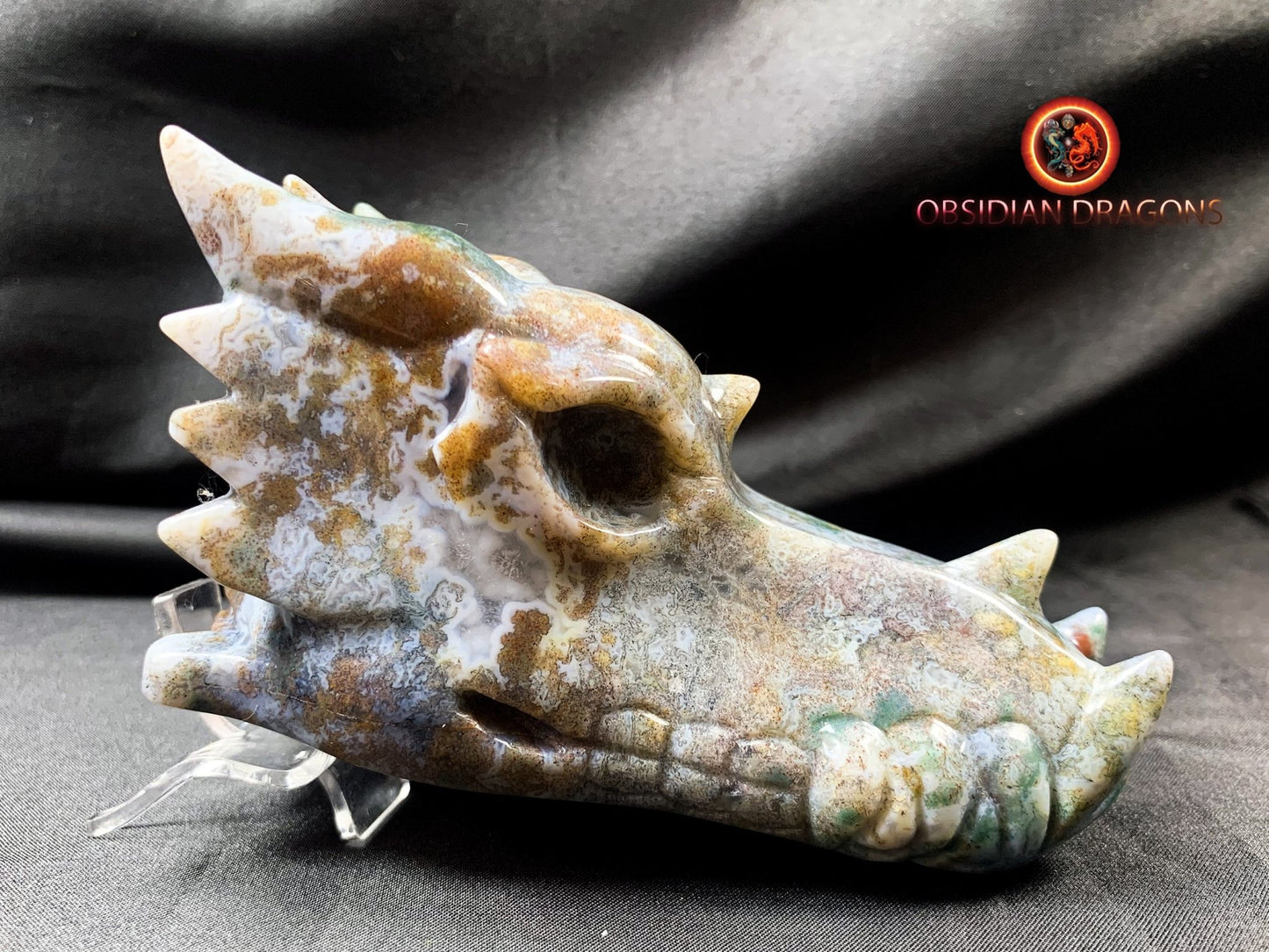Crâne de dragon, tête de dragon, crâne de cristal, dragon skull