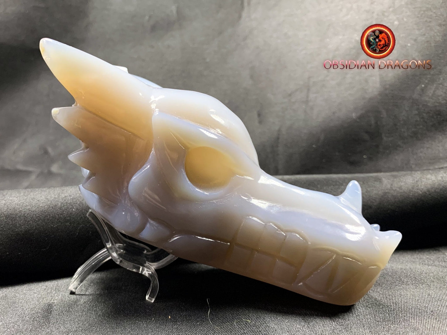 Crâne de dragon, tête de dragon, crâne de cristal, dragon skull