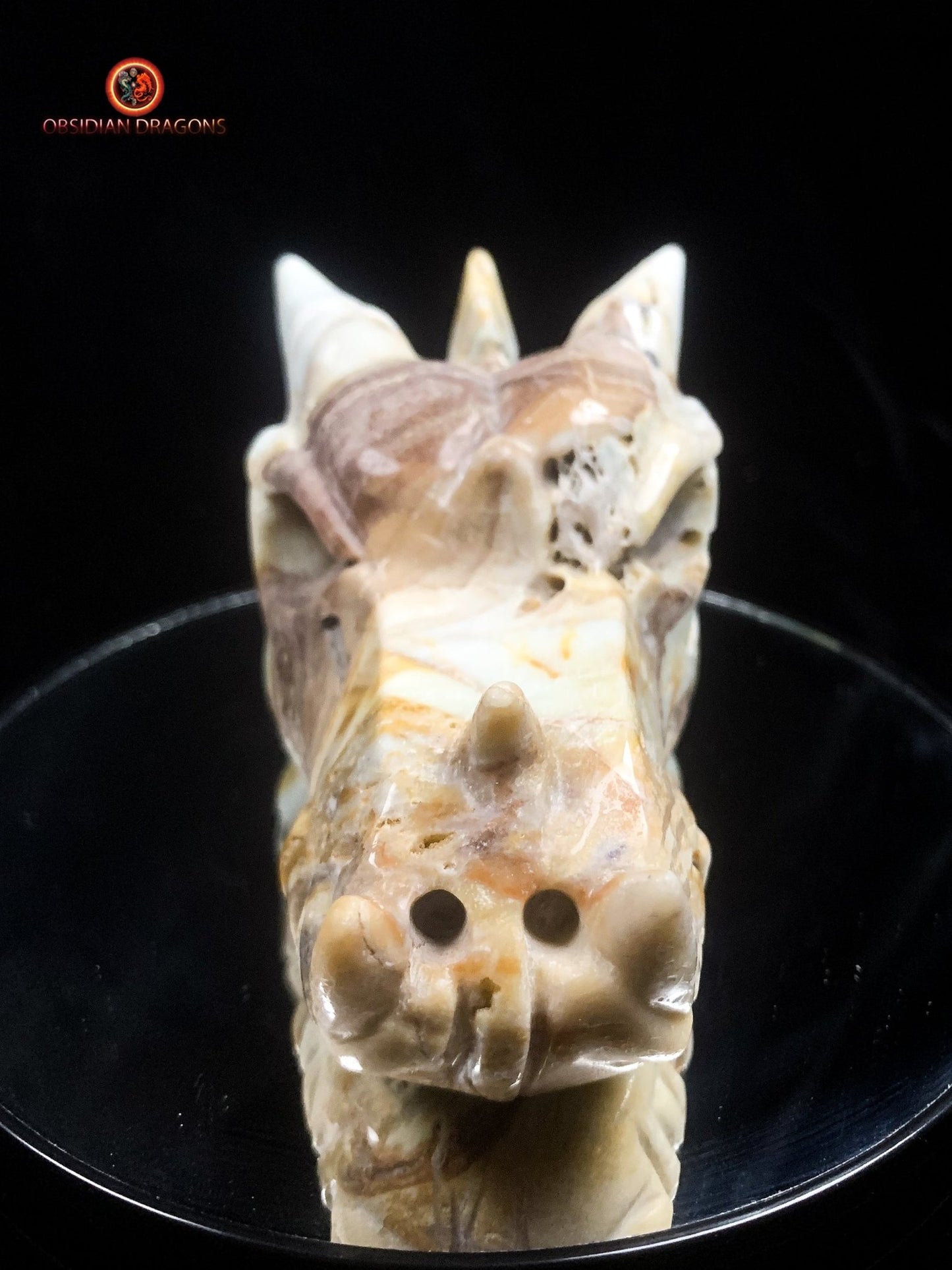 Crâne de dragon en Aragonite- Artisanal- Unique | obsidian dragons