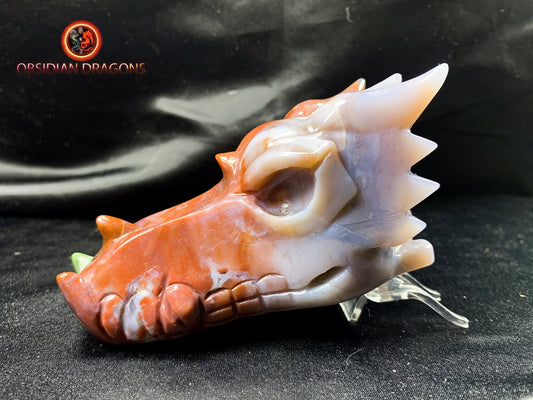 Crâne de dragon, tête de dragon, crâne de cristal, dragon skull,