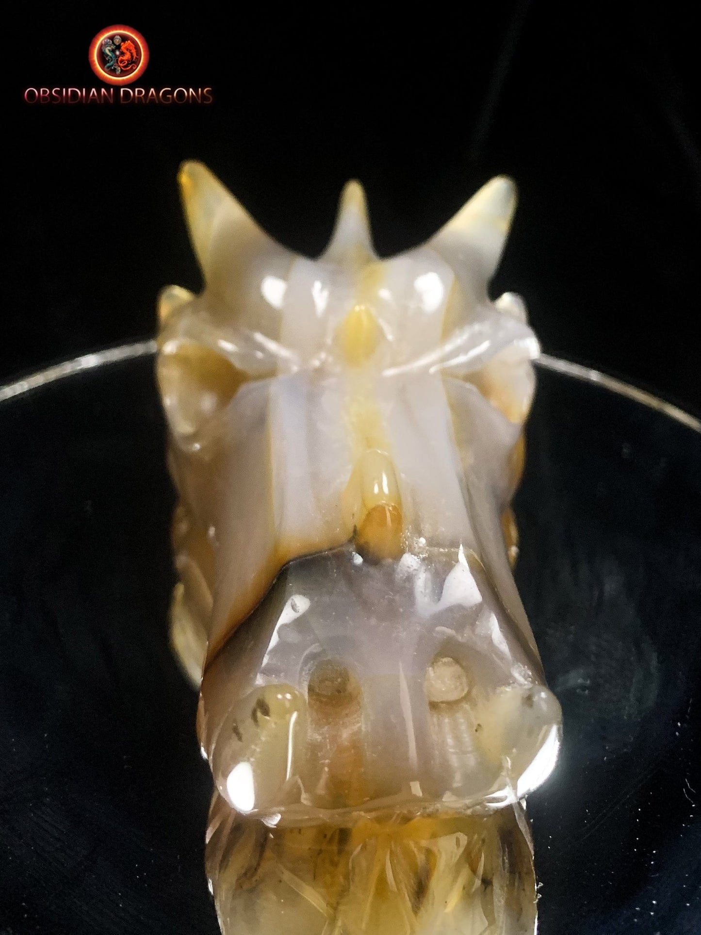 Crâne de dragon sculpté dans une géode de quartz | obsidian dragons