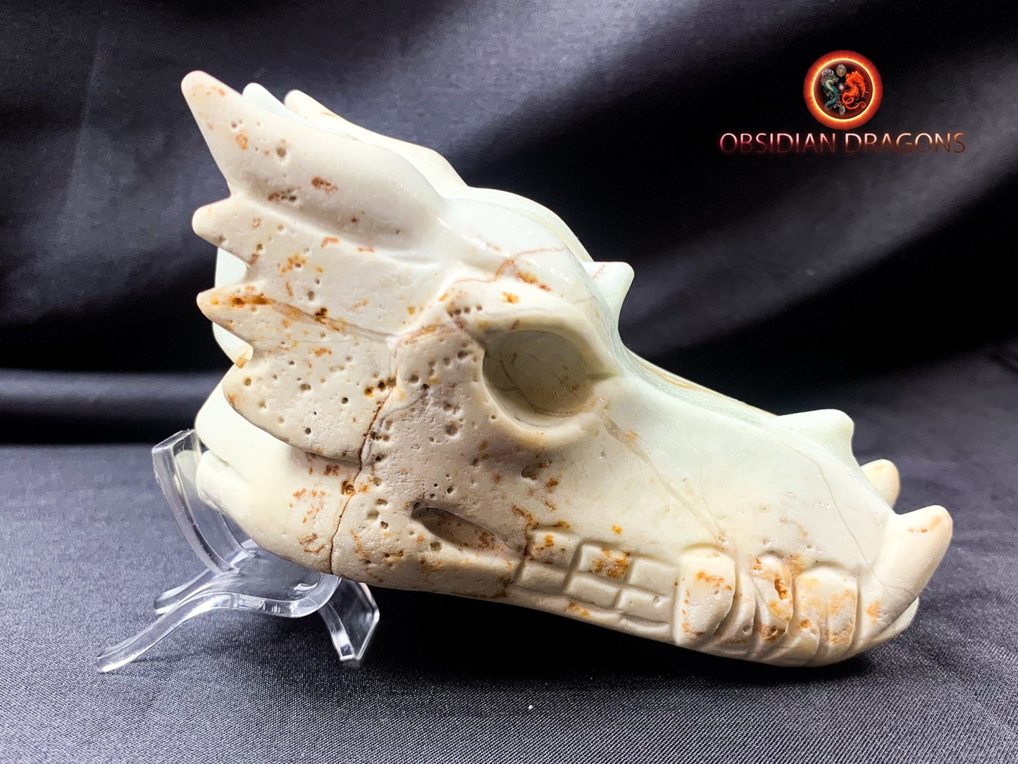Crâne de dragon, tête de dragon, crâne de cristal, dragon skull,