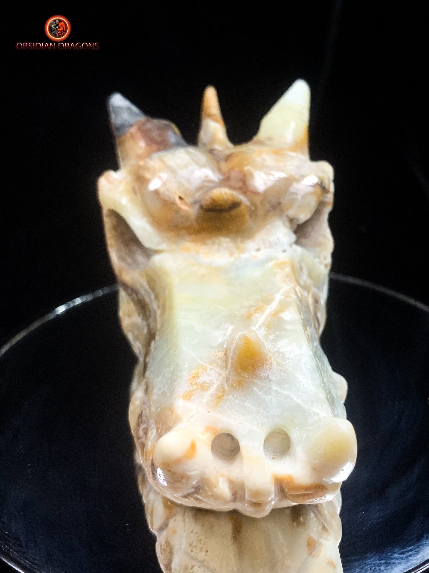 Crâne de dragon- Aragonite- Unique et artisanal | obsidian dragons
