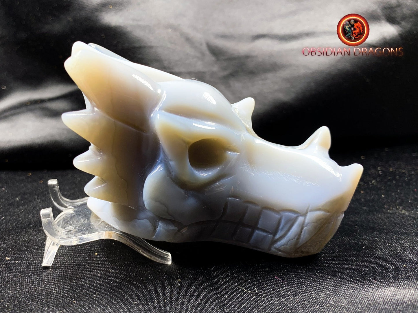 Crâne de dragon, tête de dragon, crâne de cristal, dragon skull