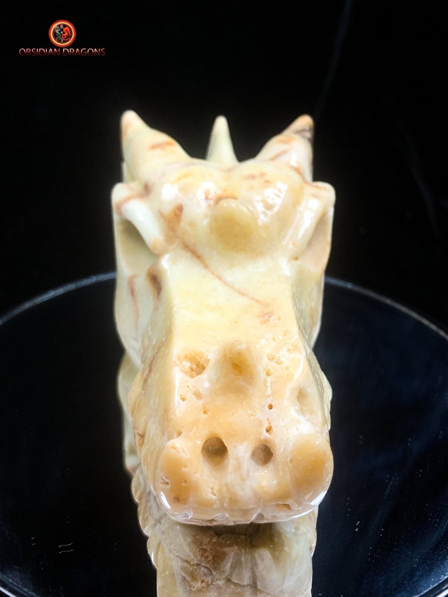 Crâne de dragon- Aragonite- Unique | obsidian dragons