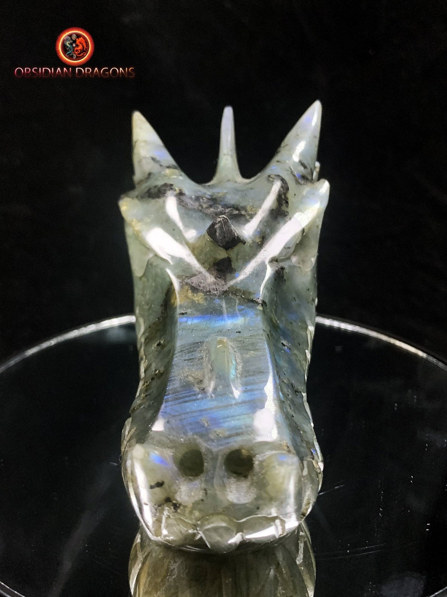 crâne de dragon en Labradorite- Artisanal