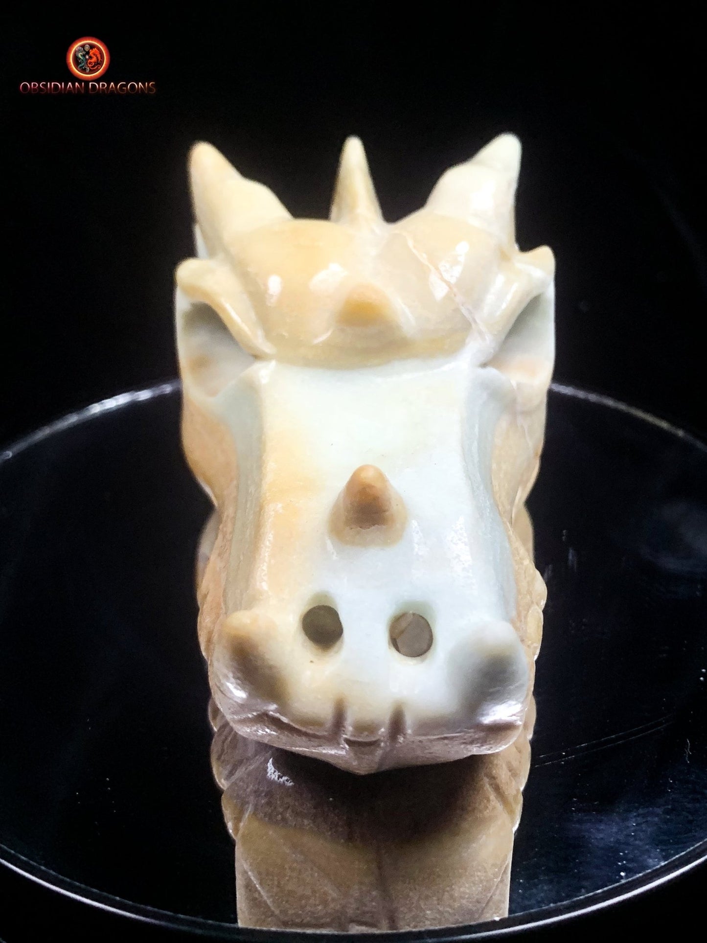Crâne de dragon en Aragonite- Unique | obsidian dragons