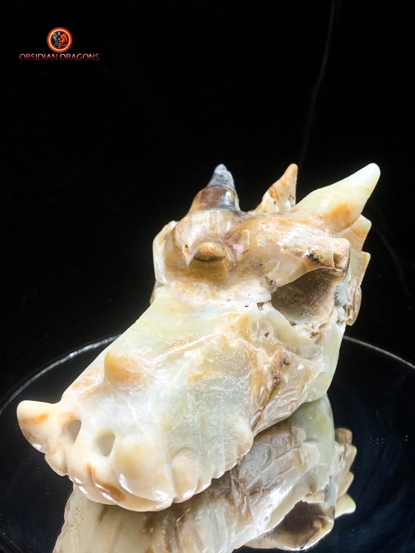 Crâne de dragon- Aragonite- Unique et artisanal | obsidian dragons
