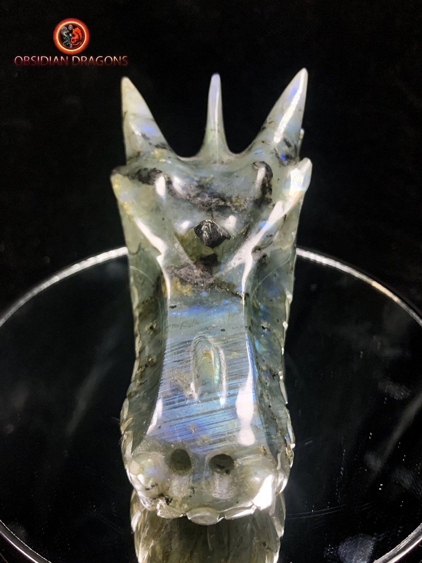 crâne de dragon en Labradorite- Artisanal