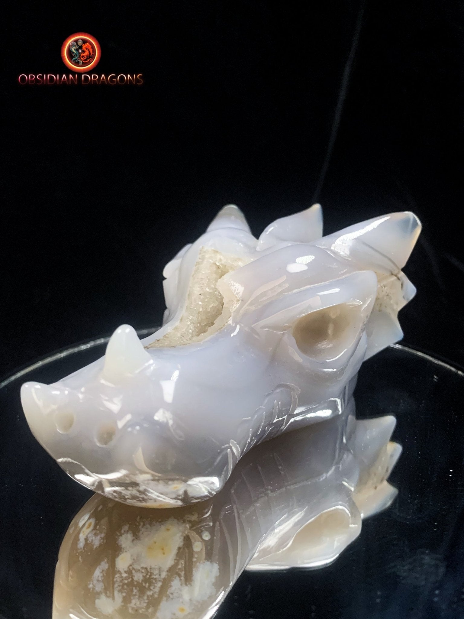 Crâne de dragon- Geode de quartz- méditation - obsidian dragons