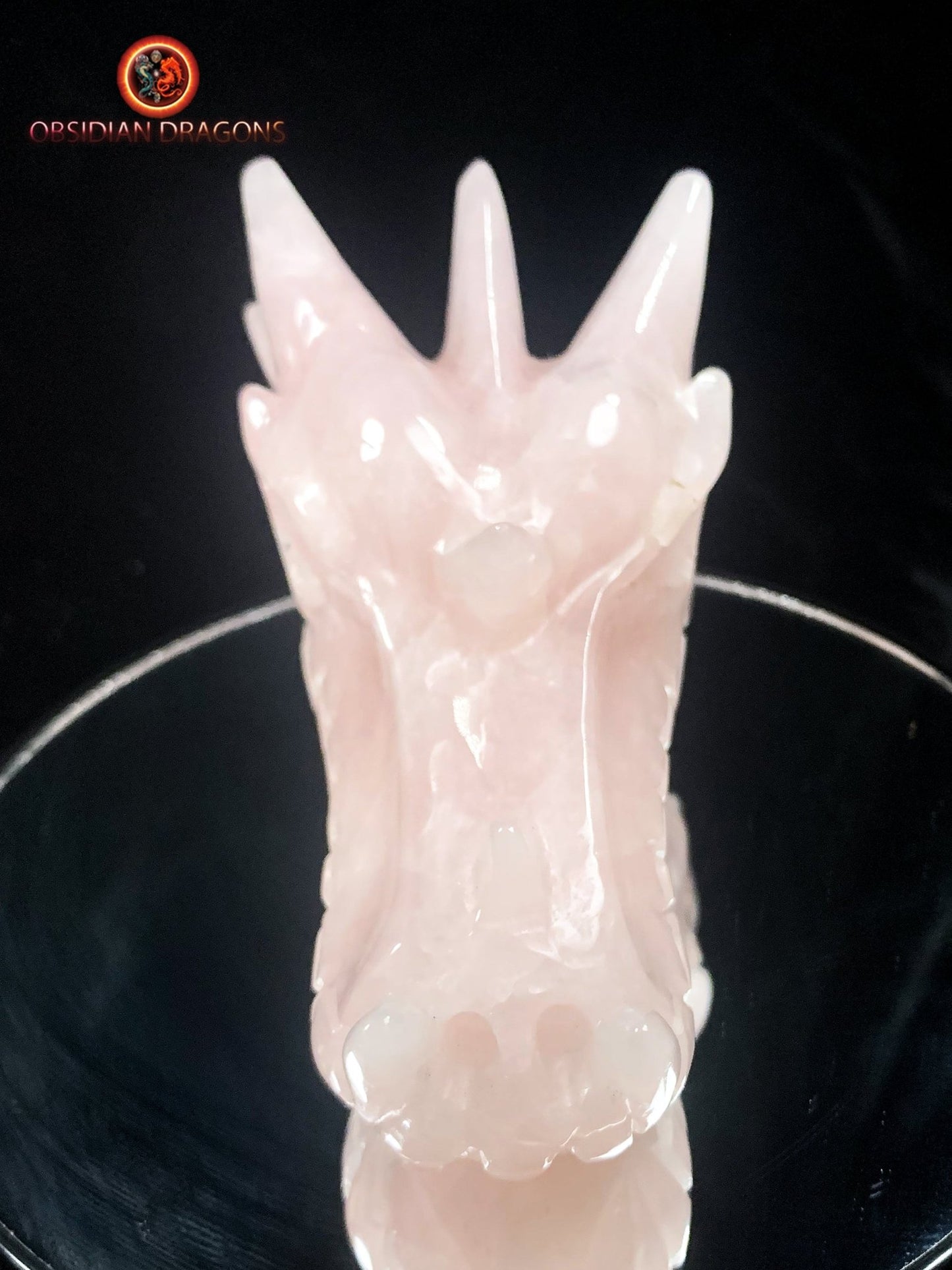 Crâne de dragon- Quartz rose- Unique
