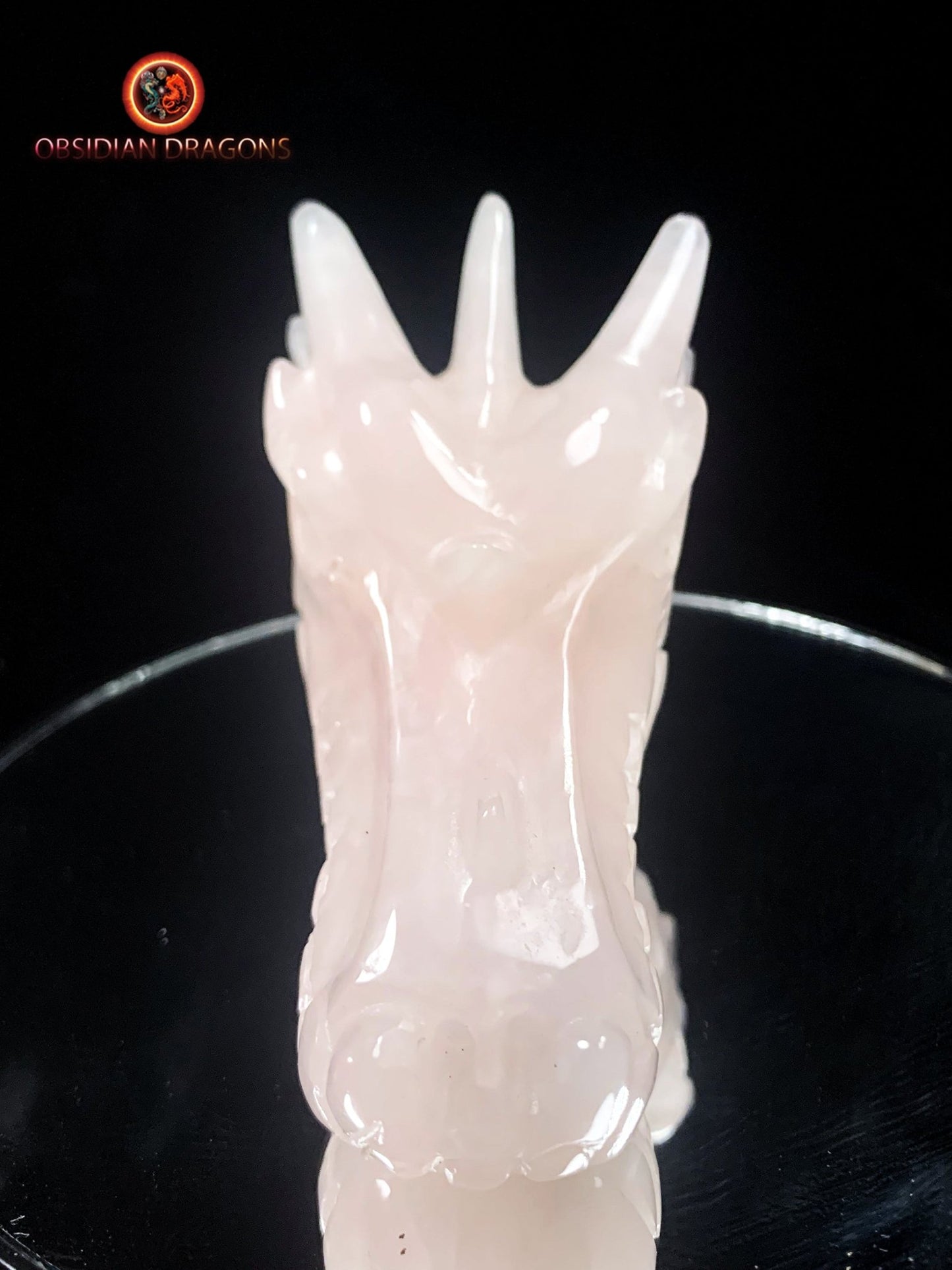 Crâne de dragon- Quartz rose- Authentique