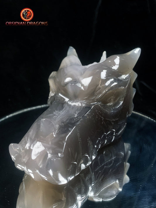 Crâne de dragon- Géode de quartz- Méditation draconique | obsidian dragons