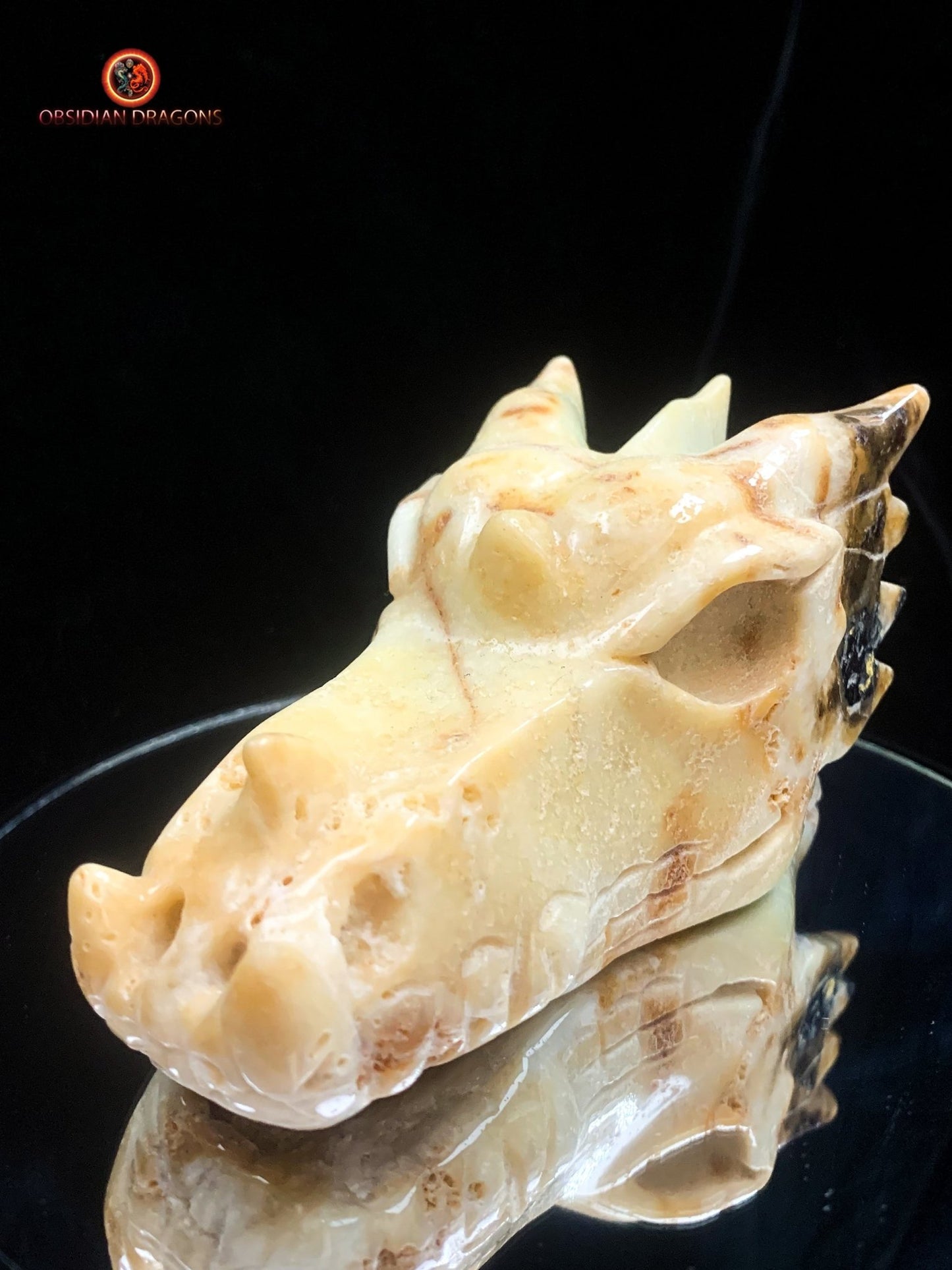 Crâne de dragon- Aragonite- Unique | obsidian dragons