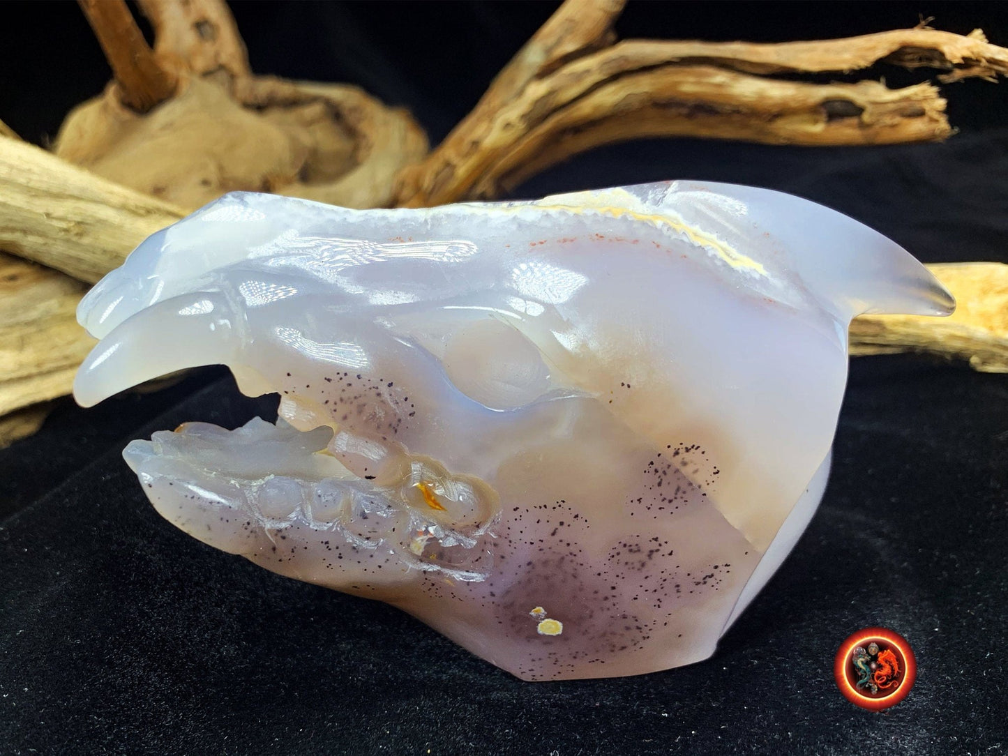 Crane de protection. Leopard Zheng. Dragon. Aspirateur d'energie impure, garant de l'ordre cosmique. Crane de dragon, sculpté dans une geode - obsidian dragon