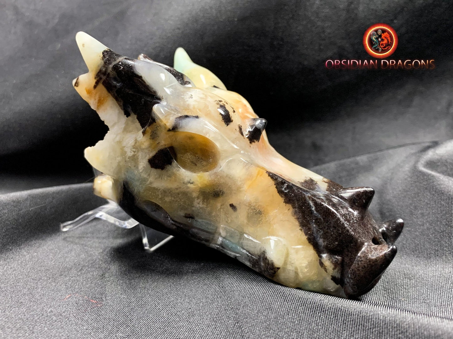 Crâne de dragon, tête de dragon, crâne de cristal, dragon skull,