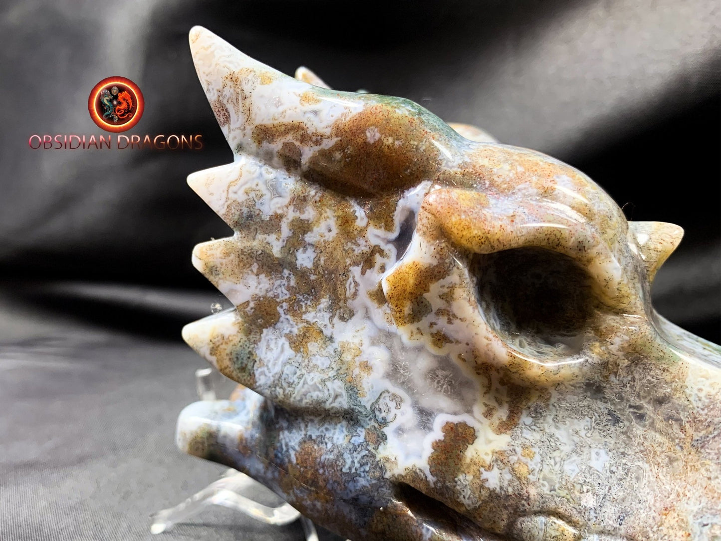Crâne de dragon, tête de dragon, crâne de cristal, dragon skull