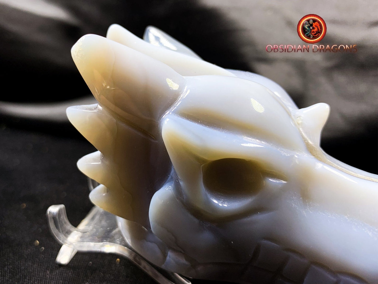 Crâne de dragon, tête de dragon, crâne de cristal, dragon skull