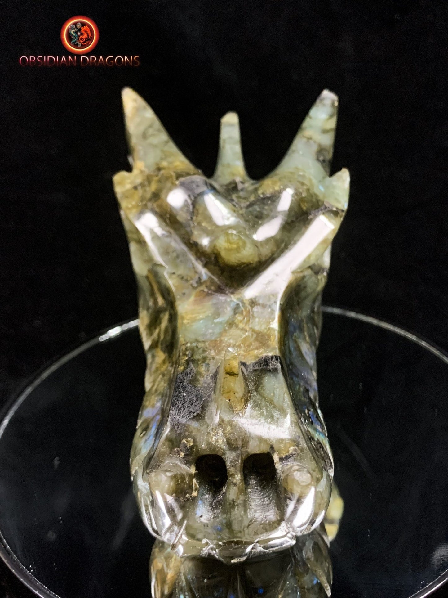 crâne de dragon- Labradorite- Authentique