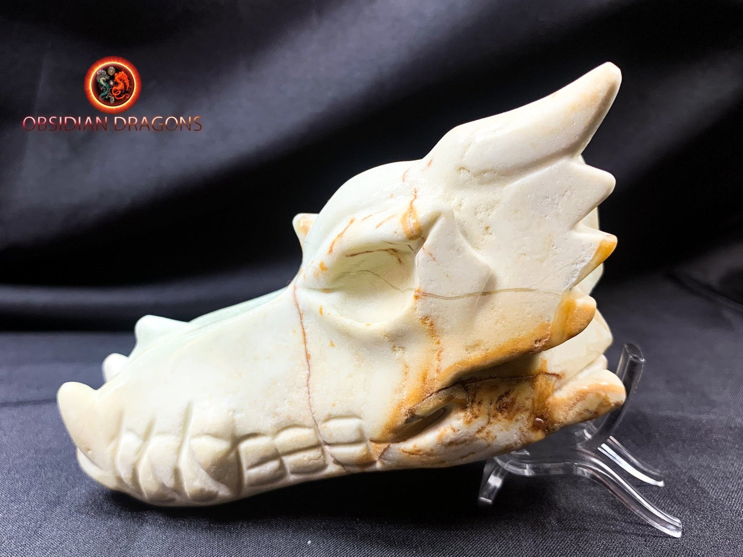 Crâne de dragon, tête de dragon, crâne de cristal, dragon skull,