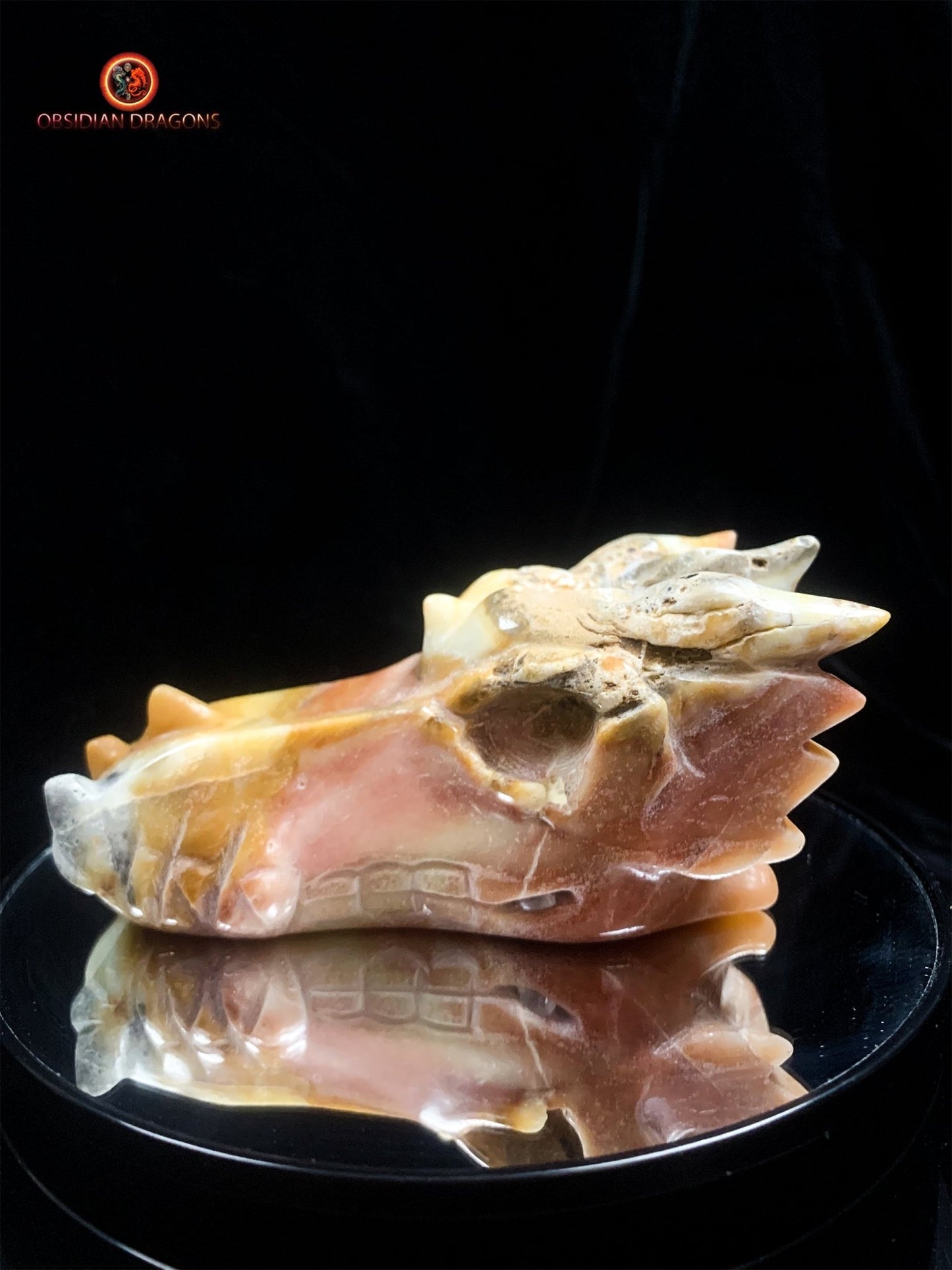 Crâne de dragon en Aragonite- Artisanal | obsidian dragons
