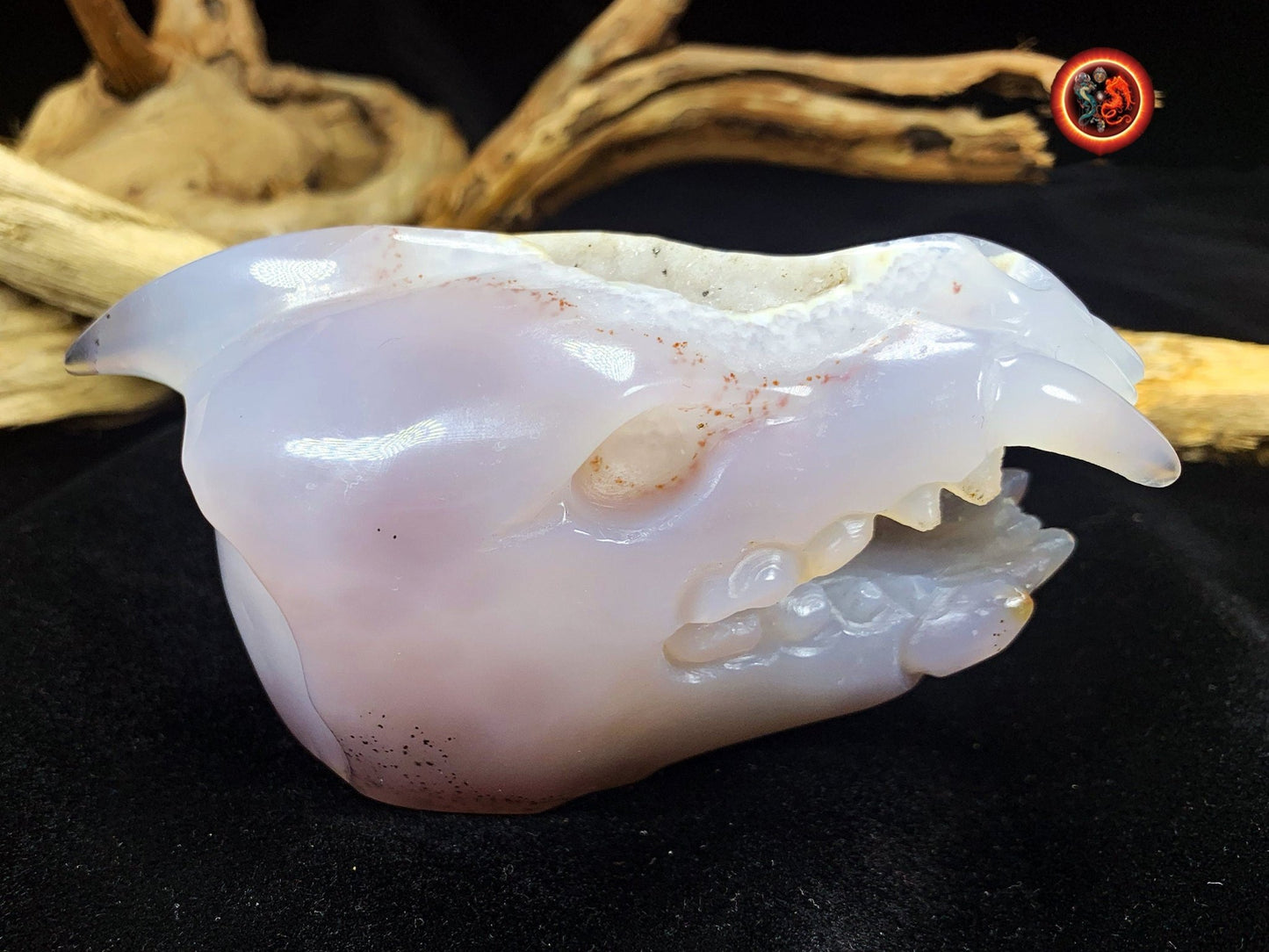 Crane de protection. Leopard Zheng. Dragon. Aspirateur d'energie impure, garant de l'ordre cosmique. Crane de dragon, sculpté dans une geode - obsidian dragon