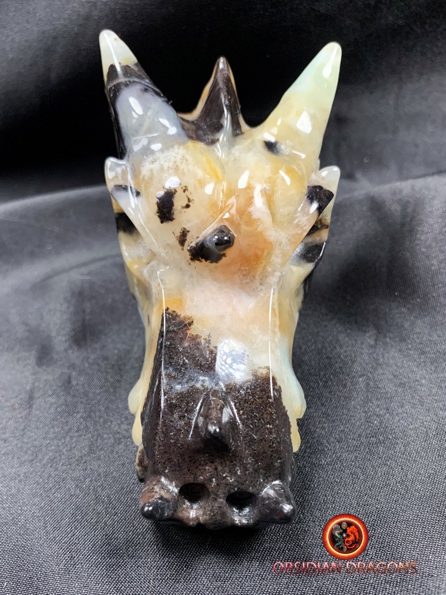 Crâne de dragon, tête de dragon, crâne de cristal, dragon skull,