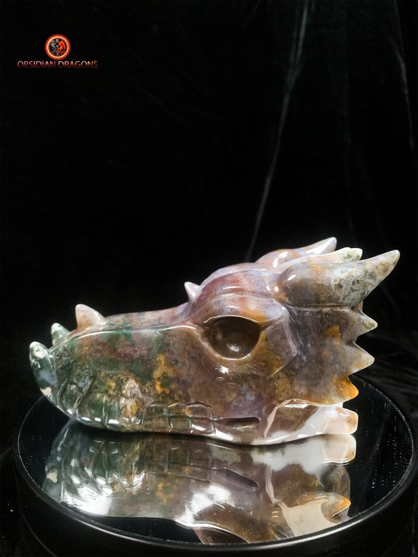 Crâne de dragon en agate mousse | obsidian dragons