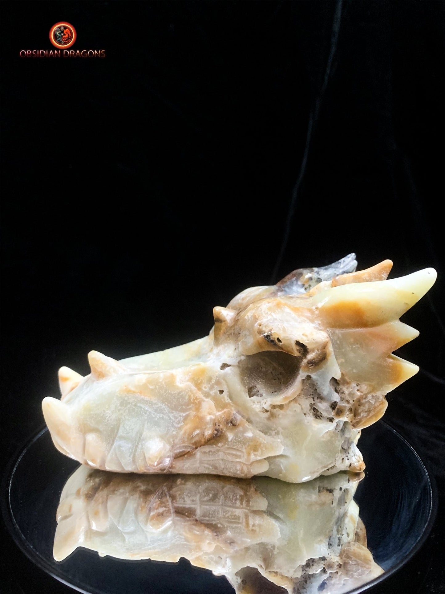 Crâne de dragon- Aragonite- Unique et artisanal | obsidian dragons