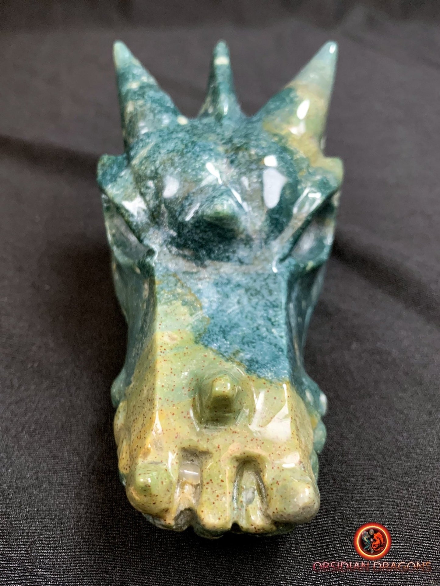 CRÂNE DE DRAGON- ARTISANAL- AGATE MOUSSE-UNIQUE