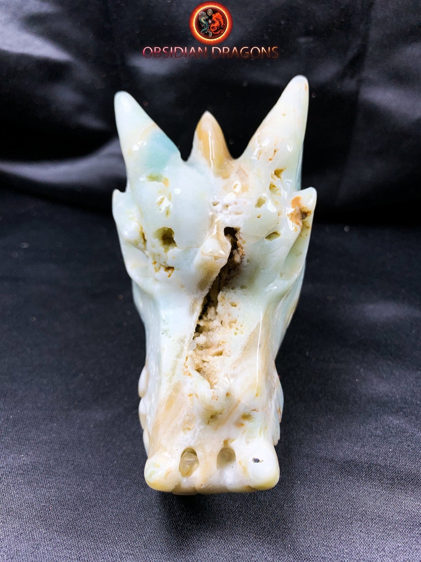 Crâne de dragon, tête de dragon, crâne de cristal, dragon skull