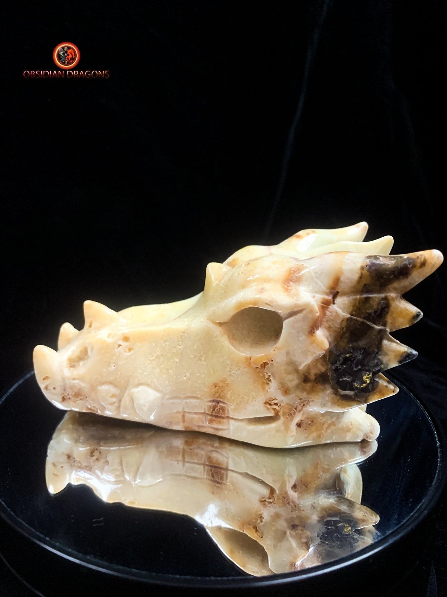 Crâne de dragon- Aragonite- Unique | obsidian dragons