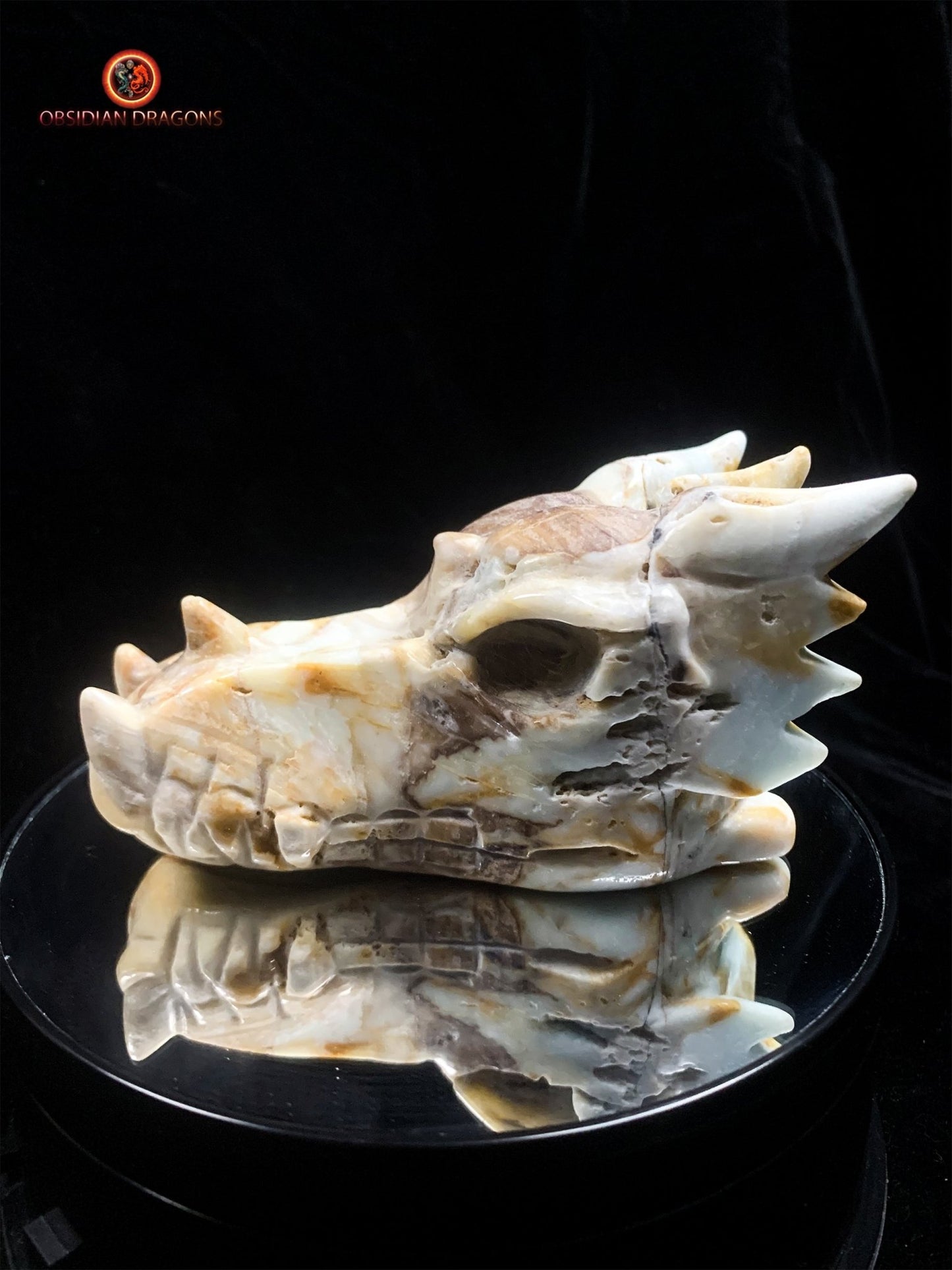 Crâne de dragon en Aragonite- Artisanal- Unique | obsidian dragons