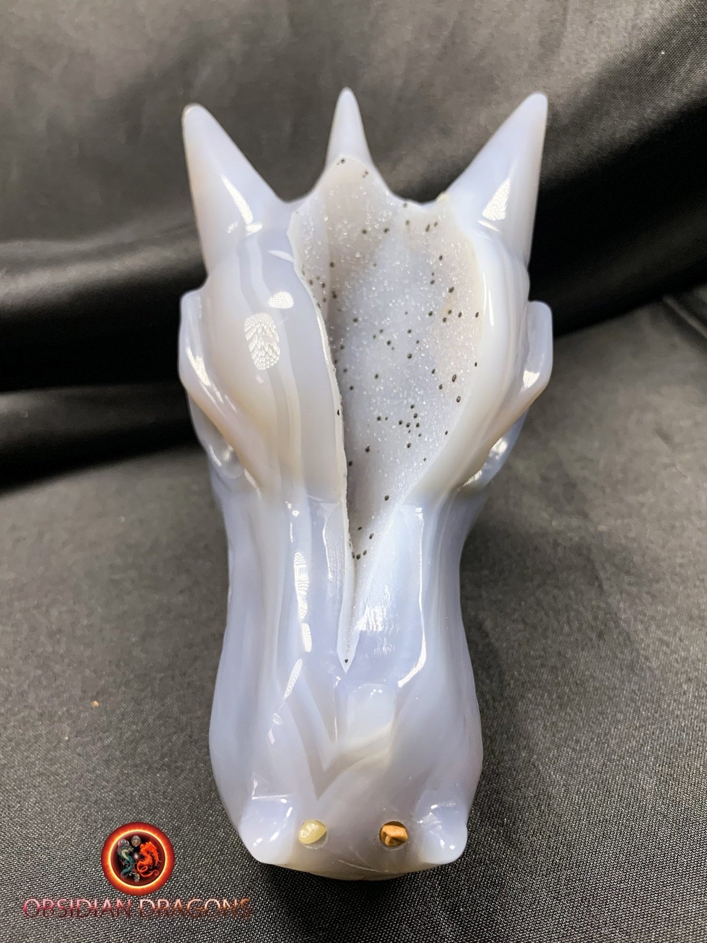 Crâne de dragon, tête de dragon, crâne de cristal, dragon skull