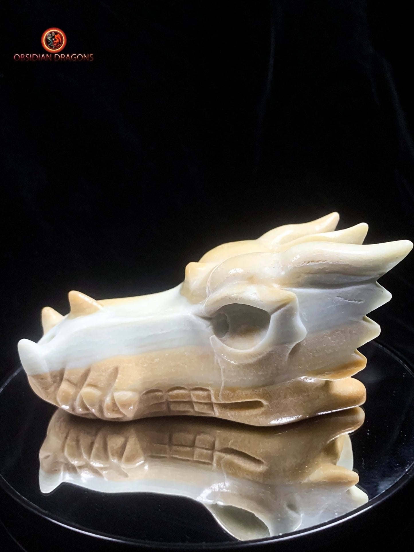 Crâne de dragon en Aragonite- Unique | obsidian dragons