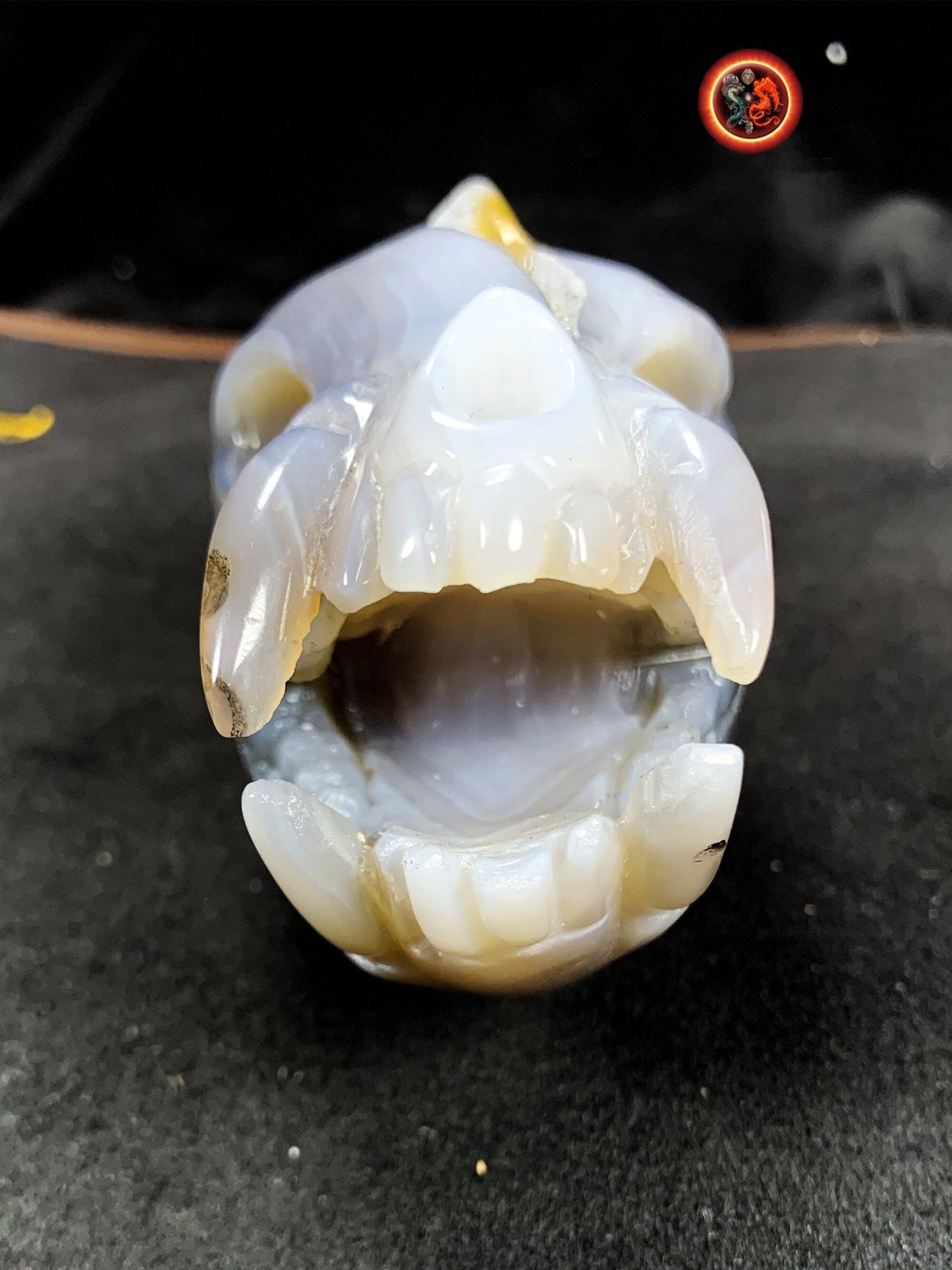 Crane de protection. Leopard Zheng. Dragon. Aspirateur d'energie impure, garant de l'ordre cosmique. Crane de dragon, sculpté dans une geode - obsidian dragon