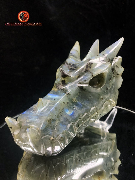 crâne de dragon en Labradorite- Artisanal