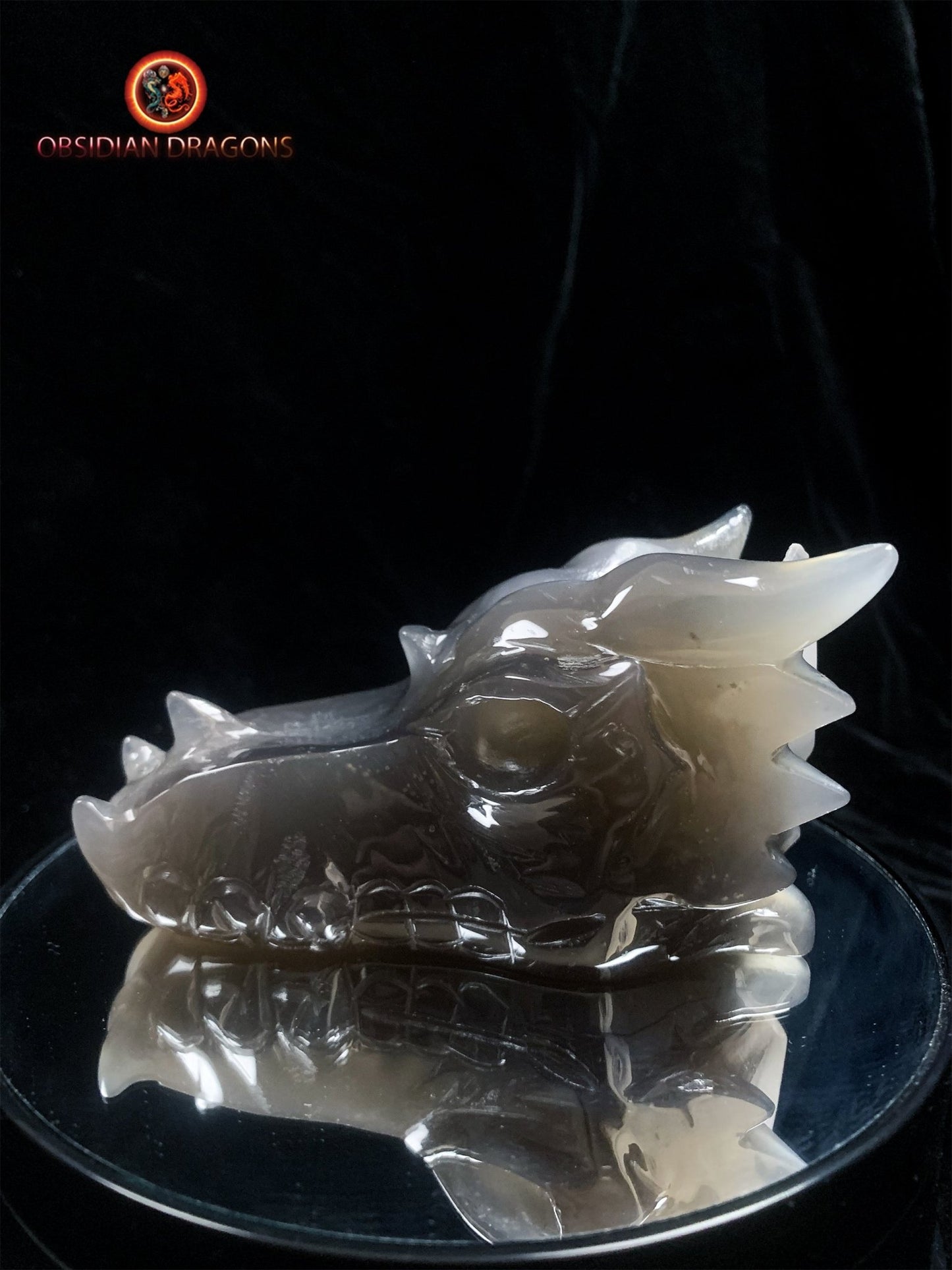 Crâne de dragon- Géode de quartz- Méditation draconique | obsidian dragons