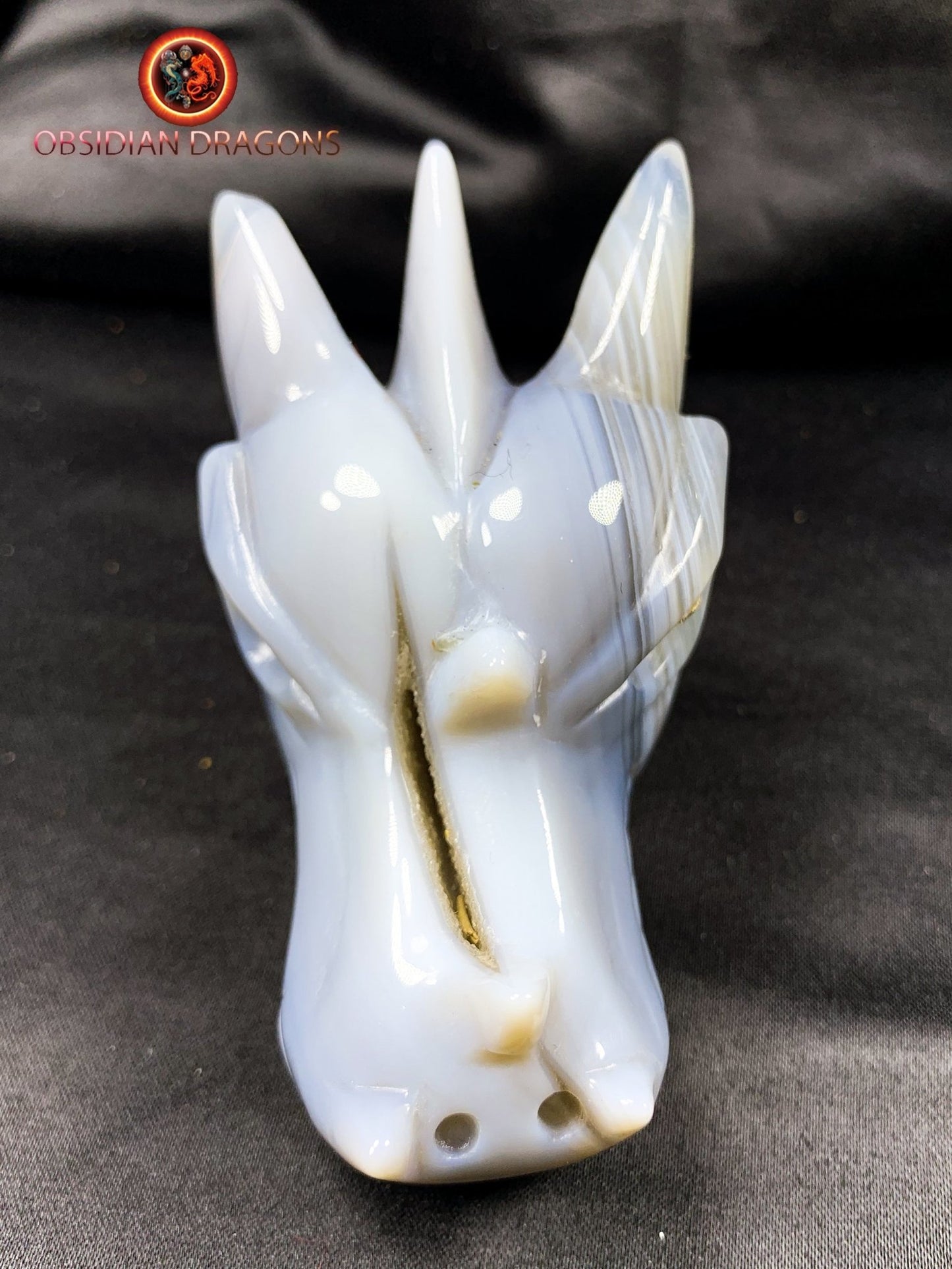 Crâne de dragon, tête de dragon, crâne de cristal, dragon skull