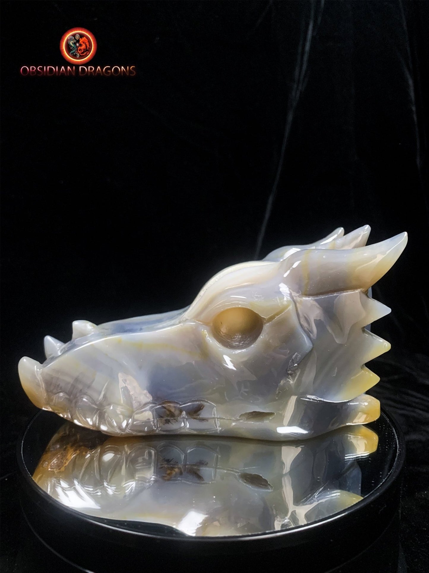Crâne de dragon- Geode de quartz- Exceptionnel | obsidian dragons