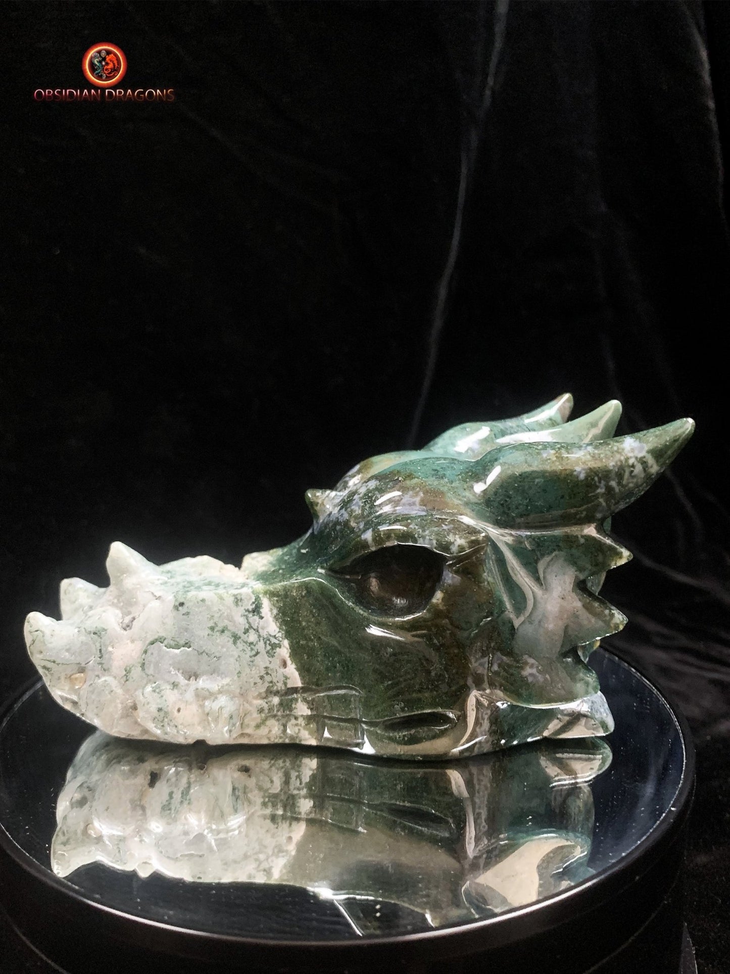 Grand crâne de dragon sculpté en agate mousse | obsidian dragons
