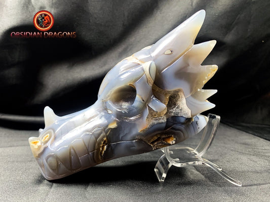 Crâne de dragon, tête de dragon, crâne de cristal, dragon skull,