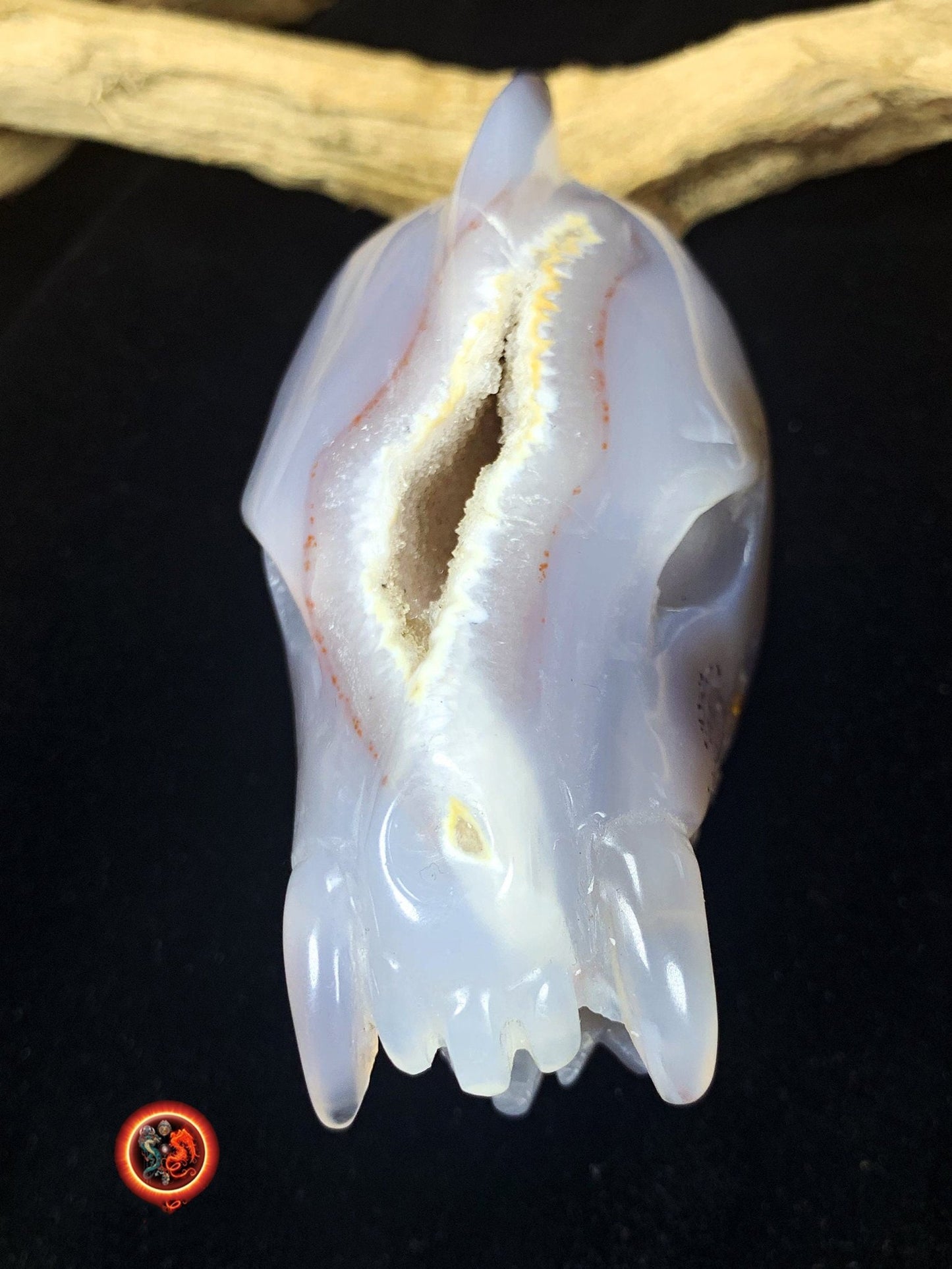 Crane de protection. Leopard Zheng. Dragon. Aspirateur d'energie impure, garant de l'ordre cosmique. Crane de dragon, sculpté dans une geode - obsidian dragon