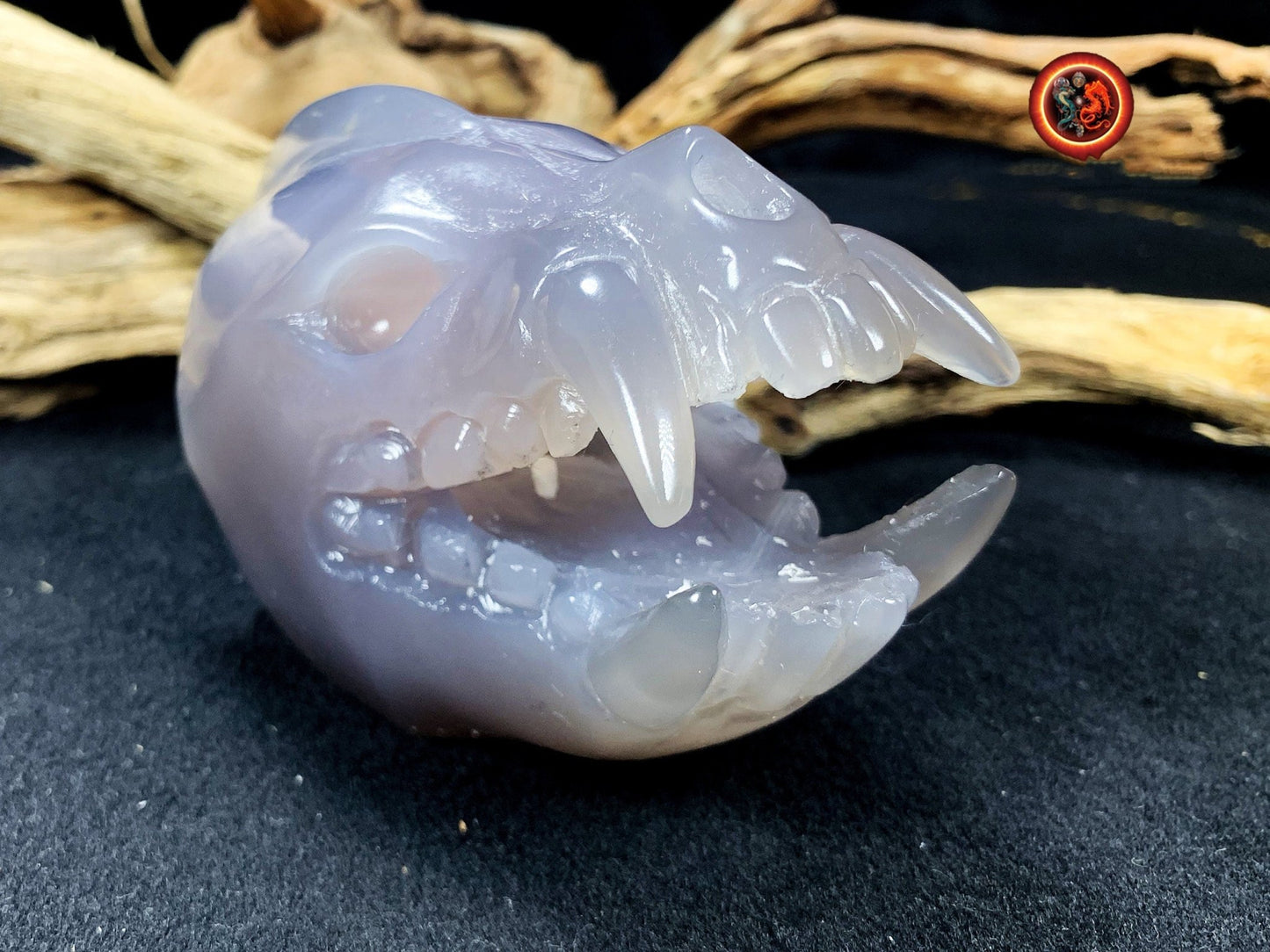Crane de protection. Leopard Zheng. Dragon. Aspirateur d'energie impure, garant de l'ordre cosmique. Crane de dragon, sculpté dans une geode - obsidian dragon