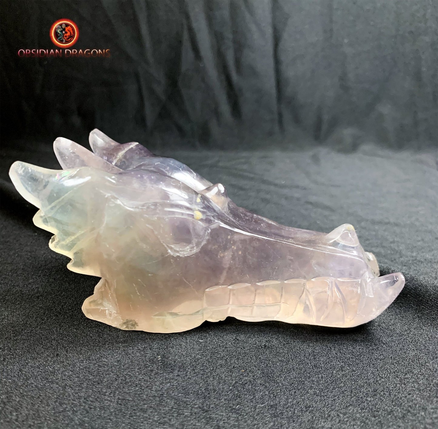 crâne de dragon- artisanal- fluorite- unique