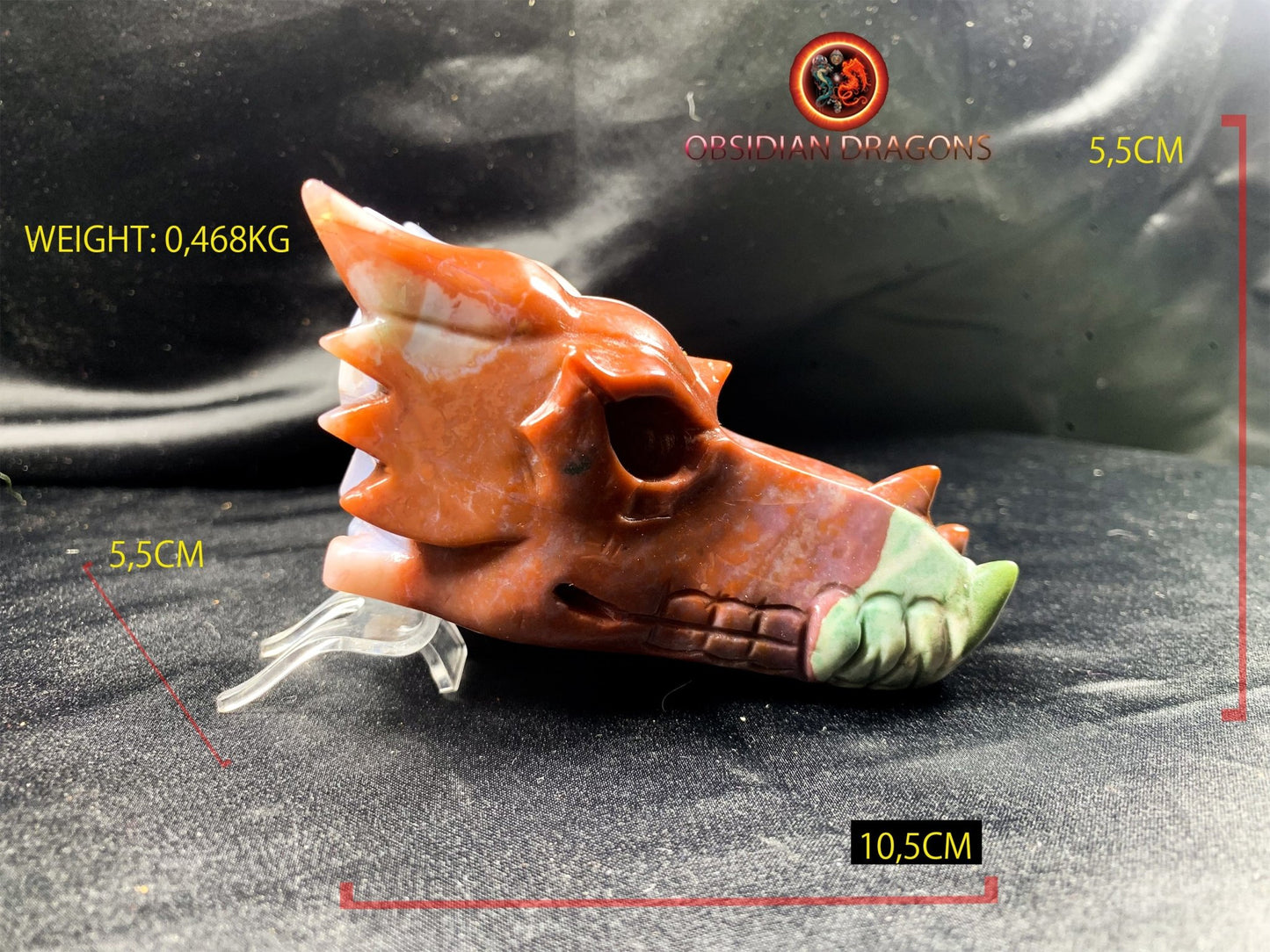 Crâne de dragon, tête de dragon, crâne de cristal, dragon skull,