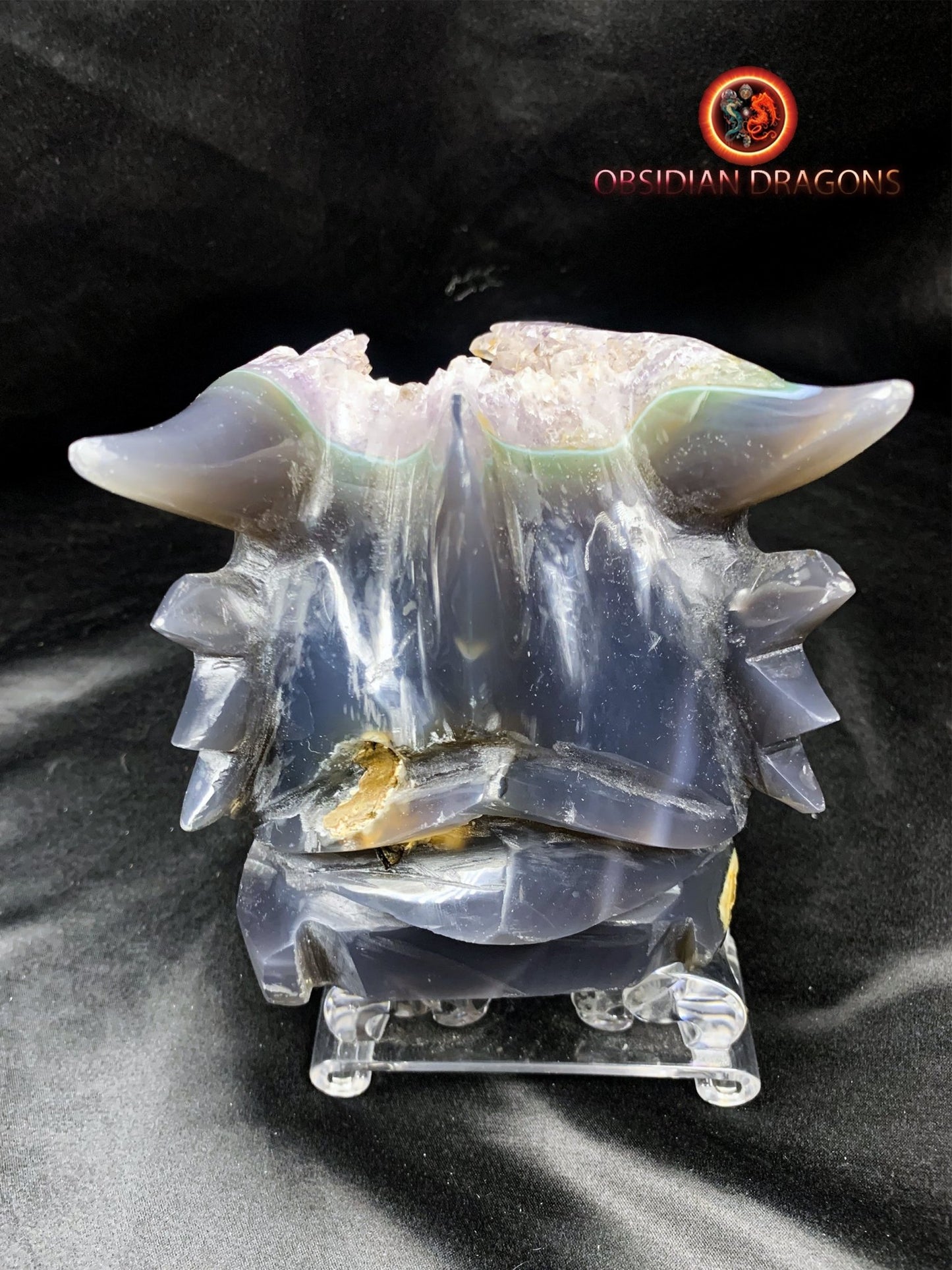 Crâne de dragon, tête de dragon, crâne de cristal, dragon skull, dragon head