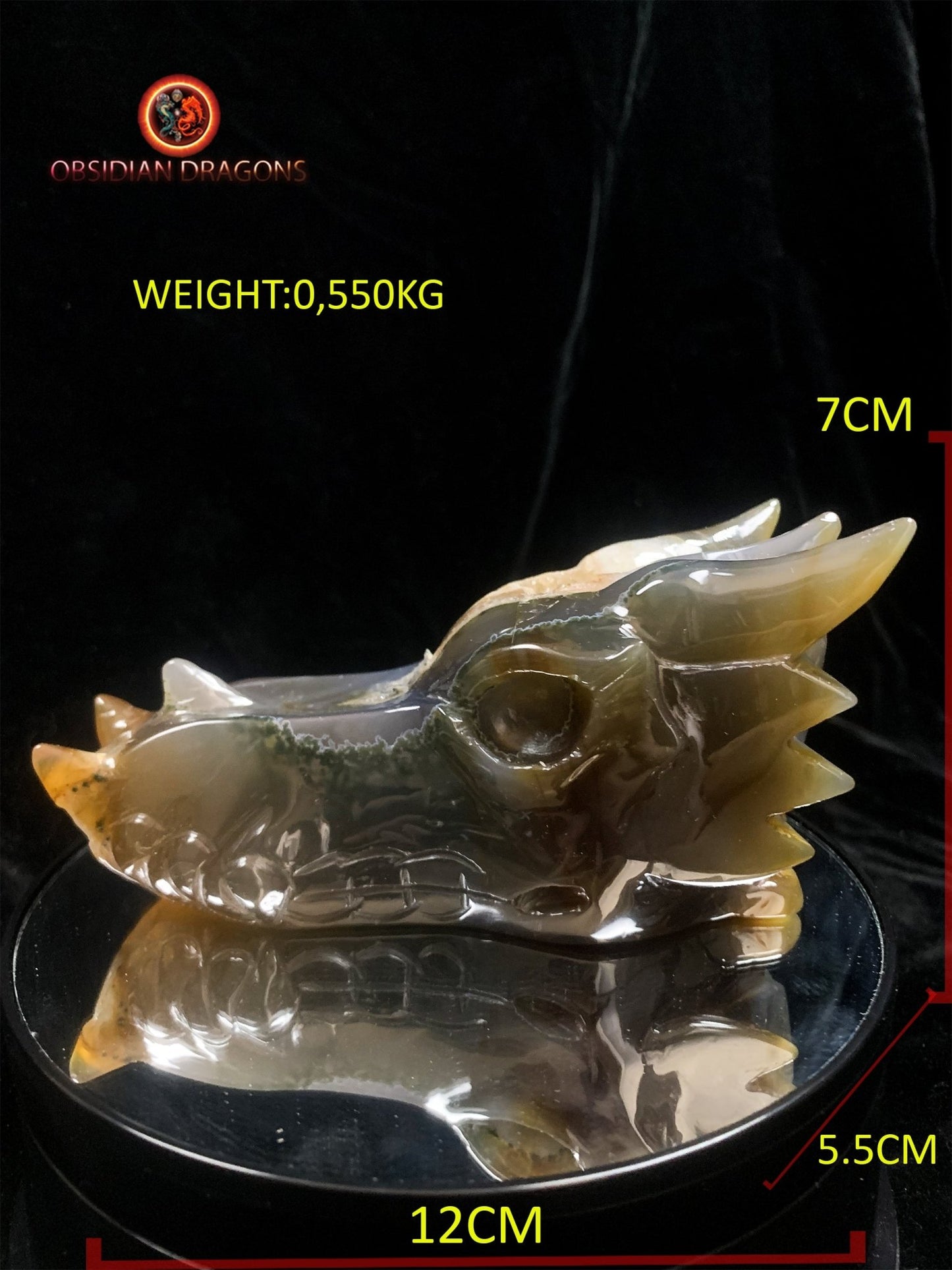 Crâne de dragon- Méditation draconique- Geode de quartz | obsidian dragons