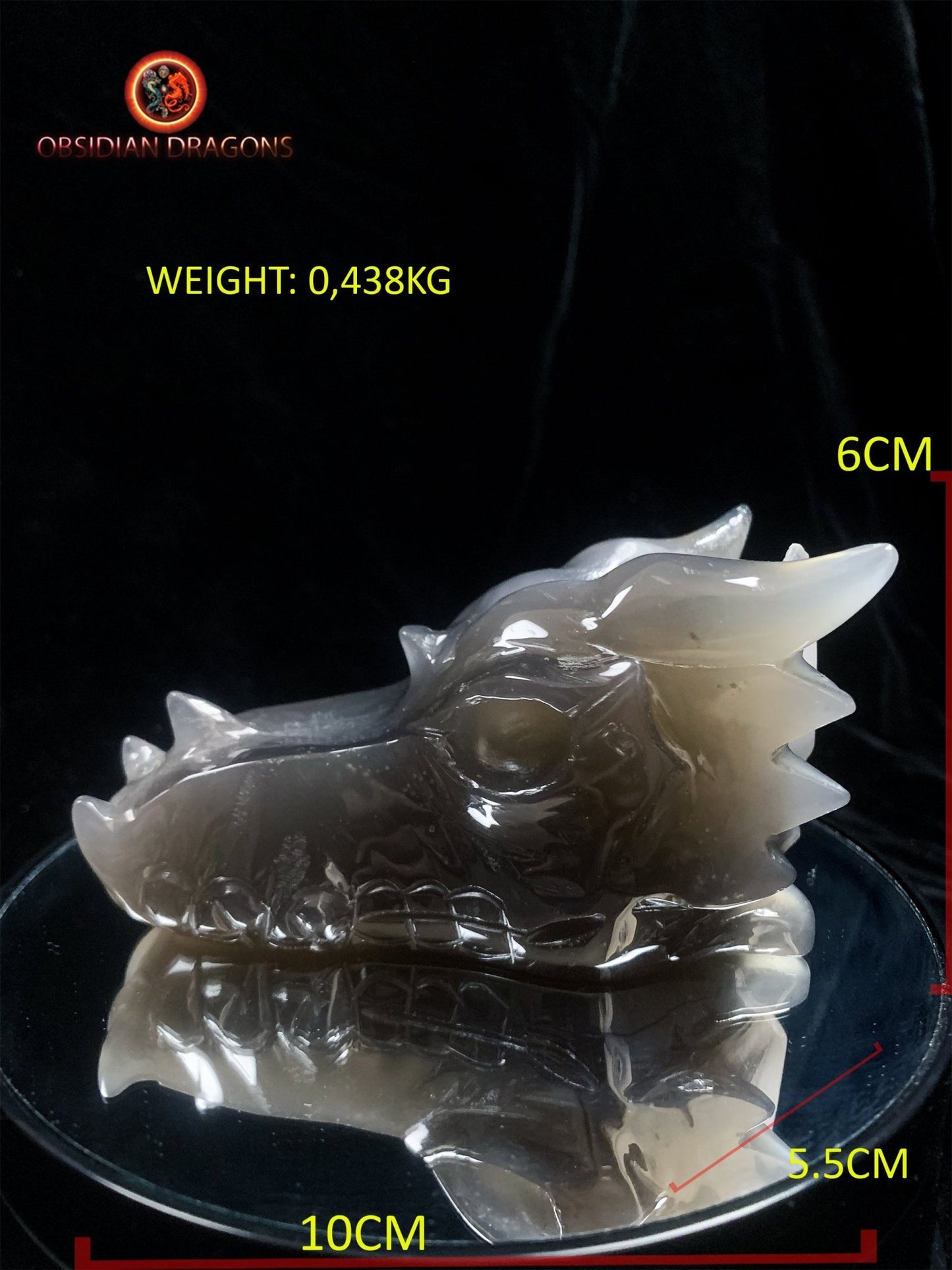 Crâne de dragon- Géode de quartz- Méditation draconique | obsidian dragons