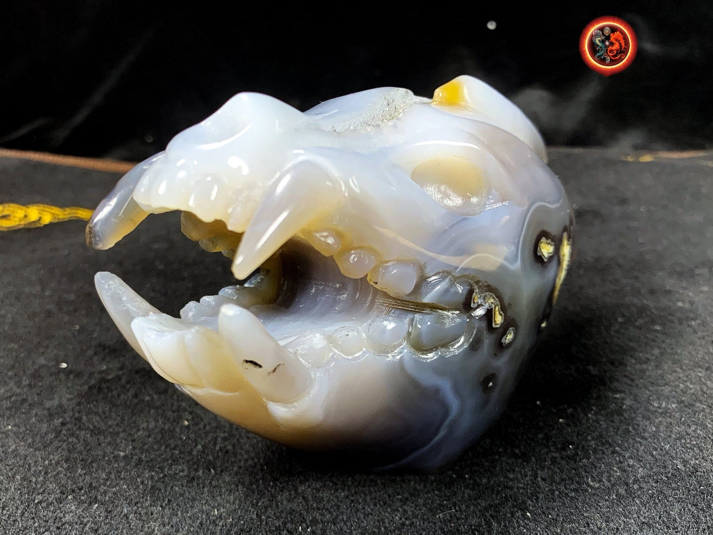 Crane de protection. Leopard Zheng. Dragon. Aspirateur d'energie impure, garant de l'ordre cosmique. Crane de dragon, sculpté dans une geode - obsidian dragon